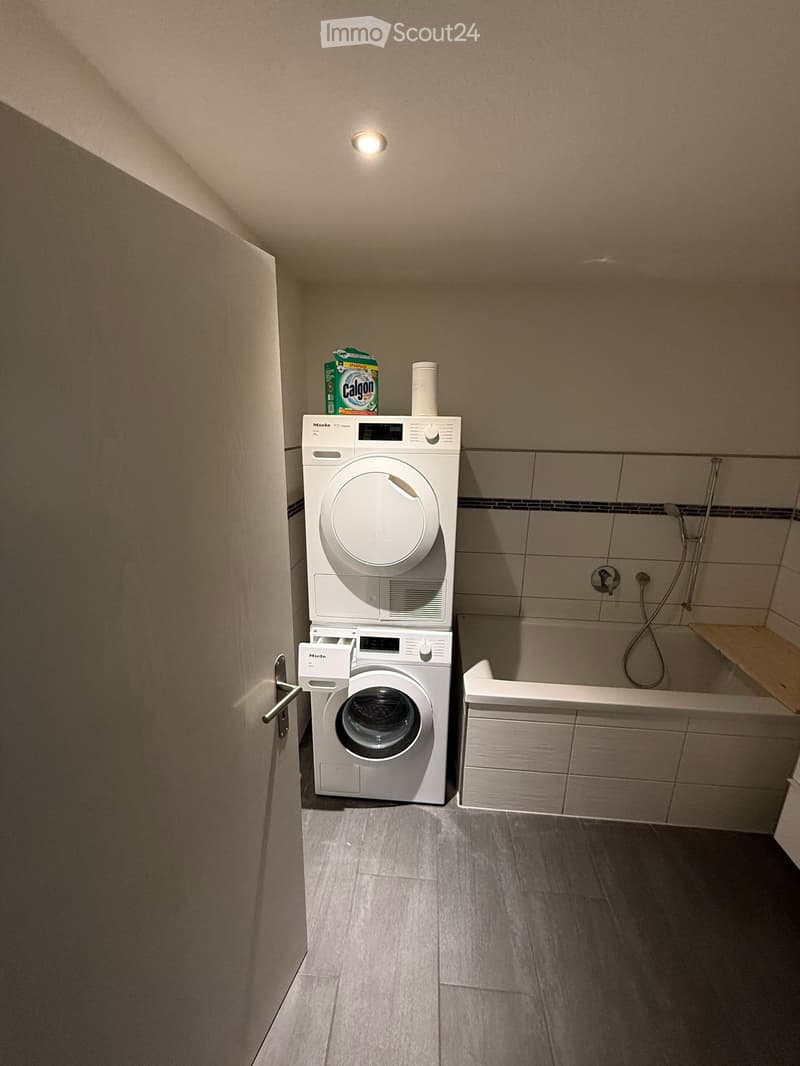 Appartement moderne spacieux 3.5 pièces avec jardin (3)