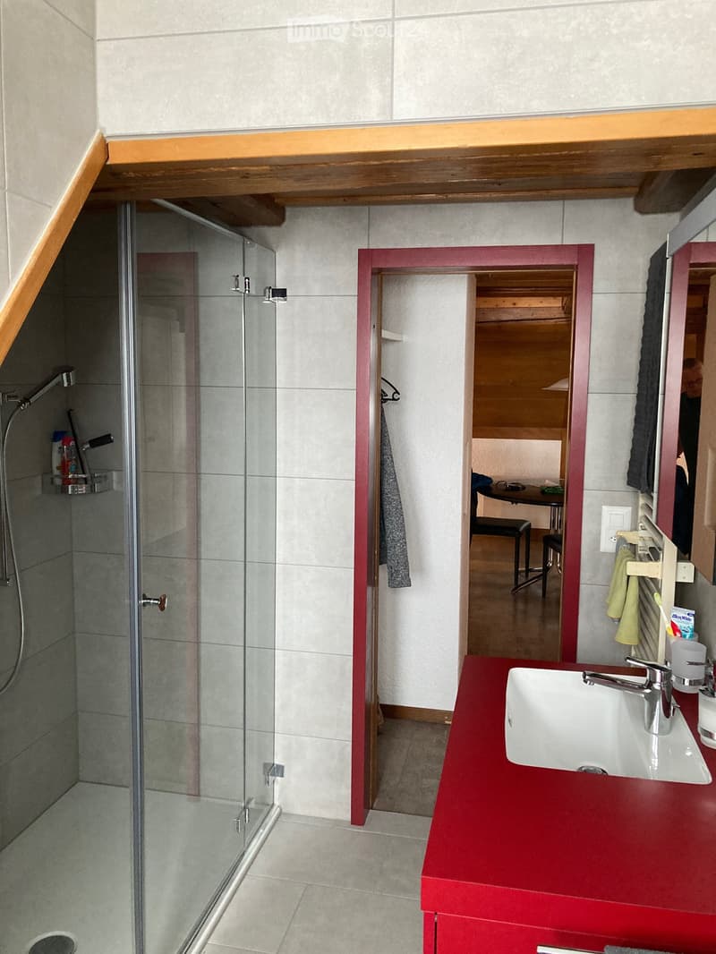 Apartment in the attic (2nd and 3rd floor) (3)