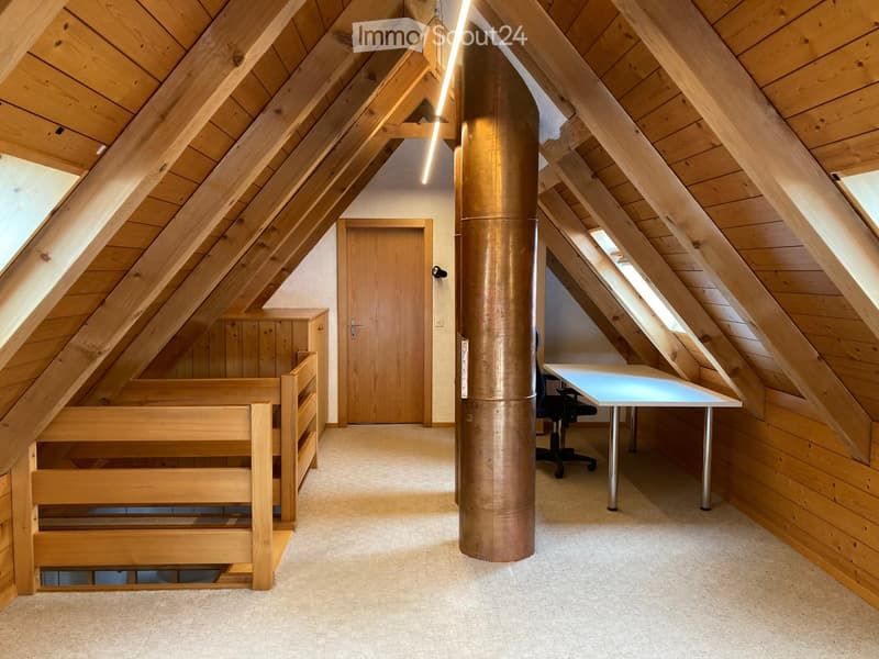Apartment in the attic (2nd and 3rd floor) (4)