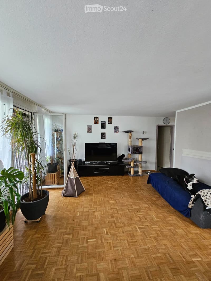 Bella, appartamento tranquillo di 4,5 locali con balcone (1)