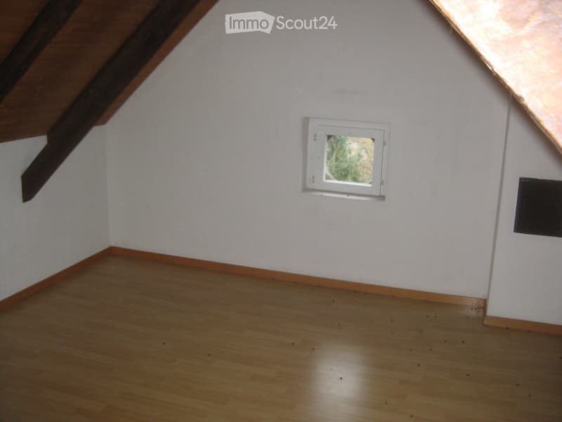 Appartement maisonnette 4 pièces, 2 étages, cheminée, jardin d'hiver (4)