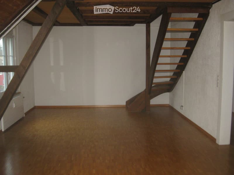 Appartement maisonnette 4 pièces, 2 étages, cheminée, jardin d'hiver (3)