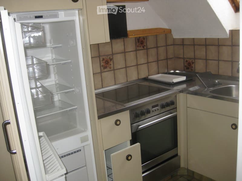 Appartement maisonnette 4 pièces, 2 étages, cheminée, jardin d'hiver (2)