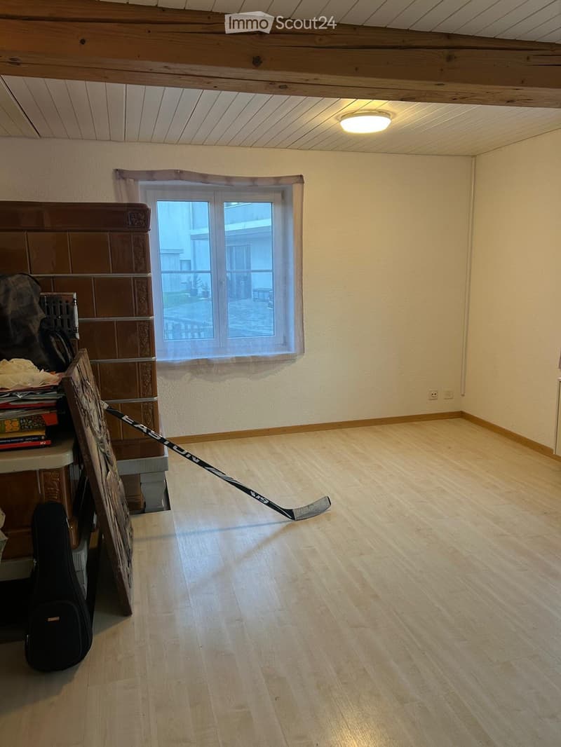 Appartement au rez-de-chaussée spacieux et charmant (2)