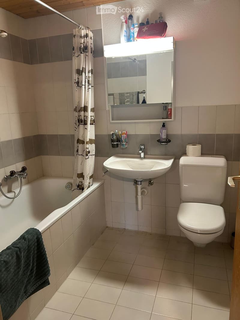 Appartement au rez-de-chaussée spacieux et charmant (1)