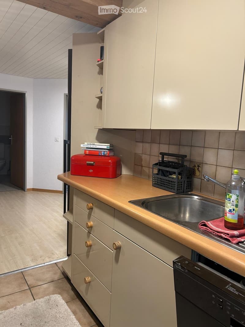 Appartement au rez-de-chaussée spacieux et charmant (5)