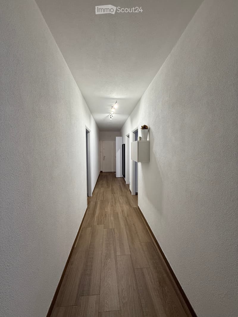 Je cherche un sous-locataire 4.5 Sementina (4)