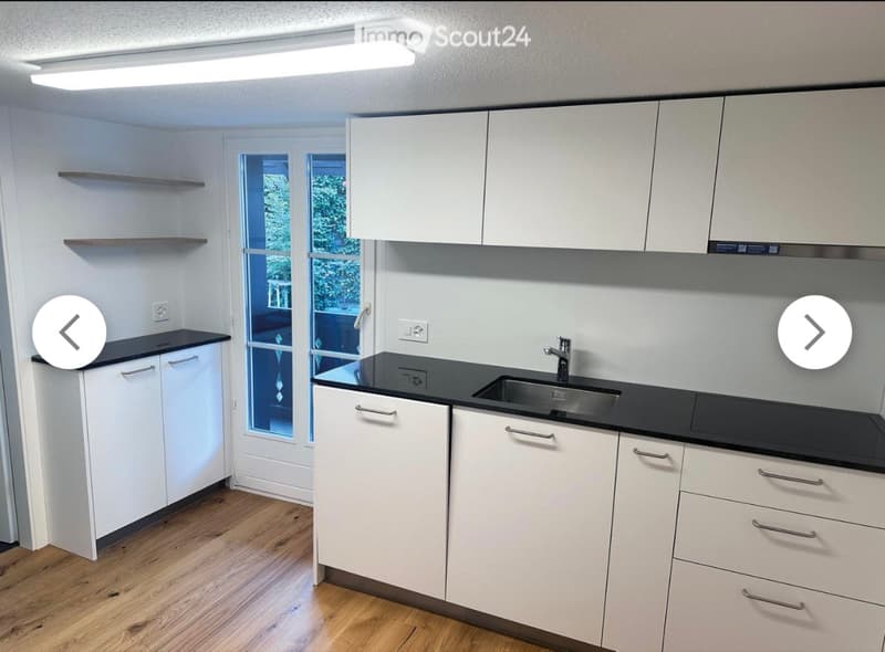 Appartement moderne 3.5 pièces avec balcon (5)