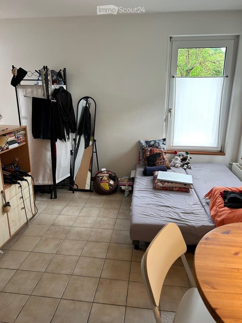 Studio accueillant à Carabbia (2)