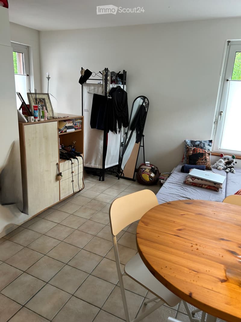 Studio accueillant à Carabbia (1)