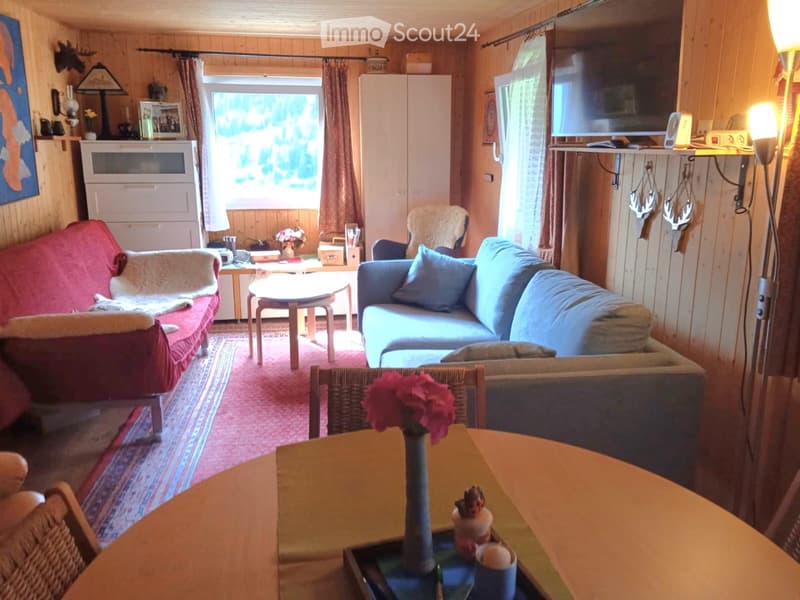 Chalet in Leventina (3)