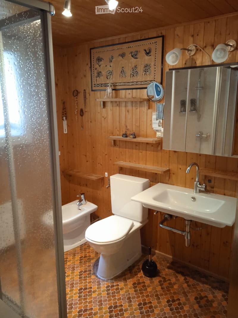 Chalet in Leventina (5)