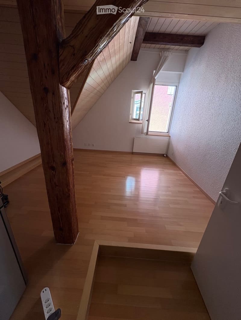 WG-Zimmer (2!) in Altstadt (2)