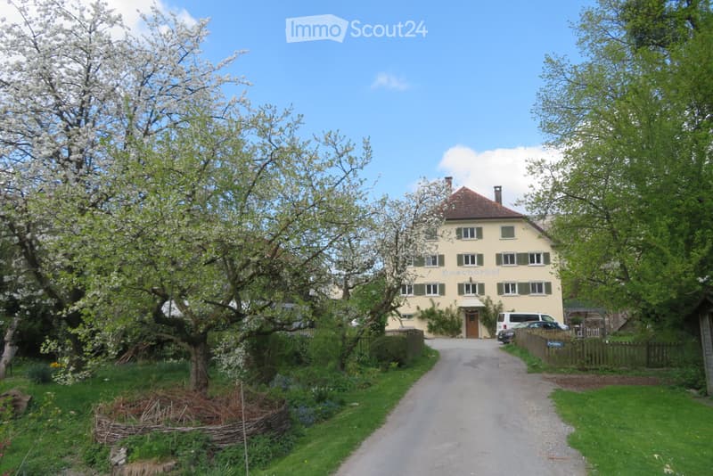 Farmhouse for rent from around Feb 2027 (1)