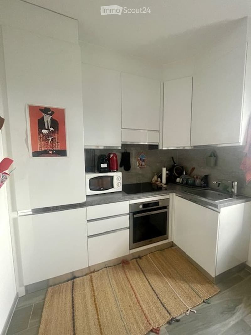 Je cherche un sous-locataire pour un appartement lumineux de 2,5 pièces à Mendrisio (2)