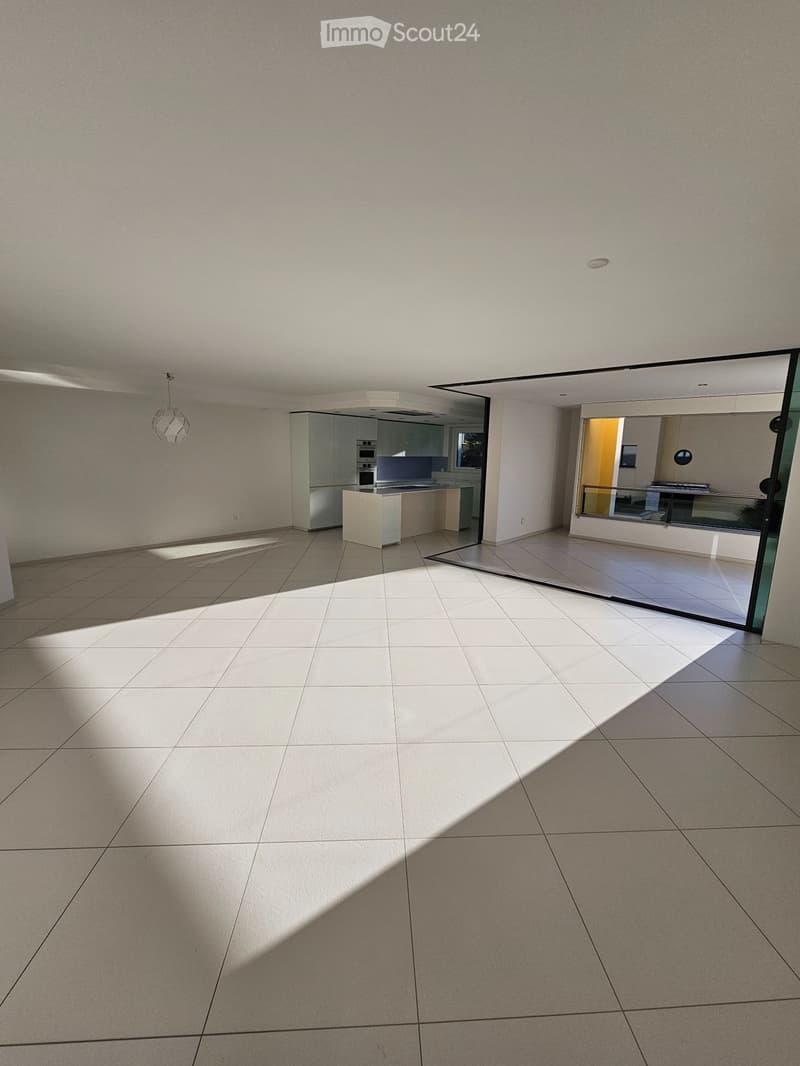 Appartement Ascona 1er étage, 5.5 pièces, 180m2 (3)