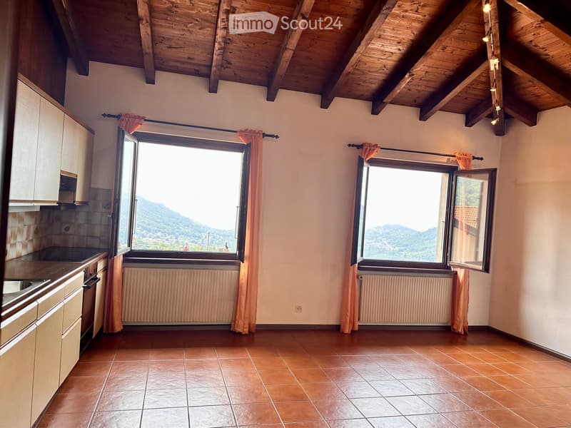 Two-family house for sale (3)