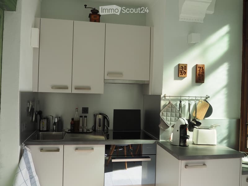 Astano, Malcantone, 1.5 rooms (5)