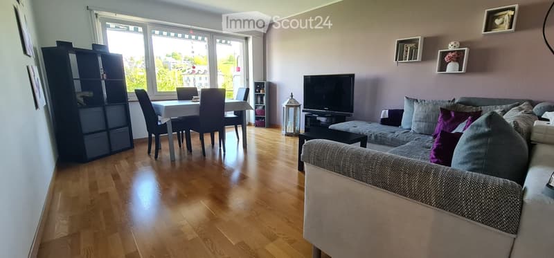 Apartment for Sublet in the Heart of Lucerne (3)