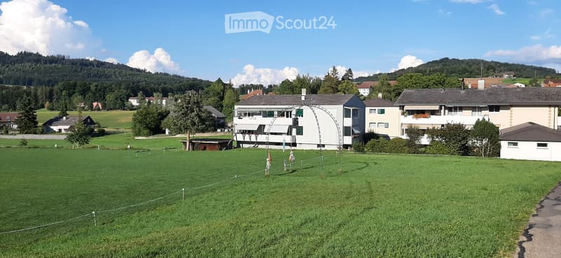 Delizioso appartamento di 2 camere a Richigen vicino a Worb (1)