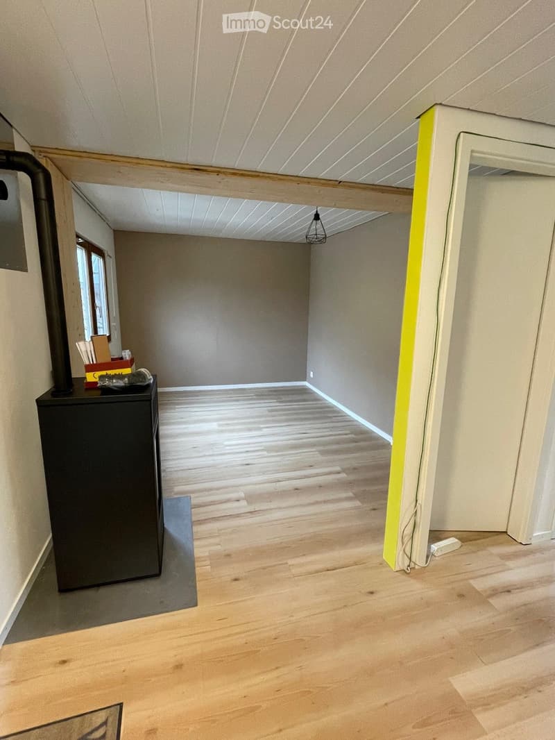 Lager Container / Wohn Container / Tiny House (4)
