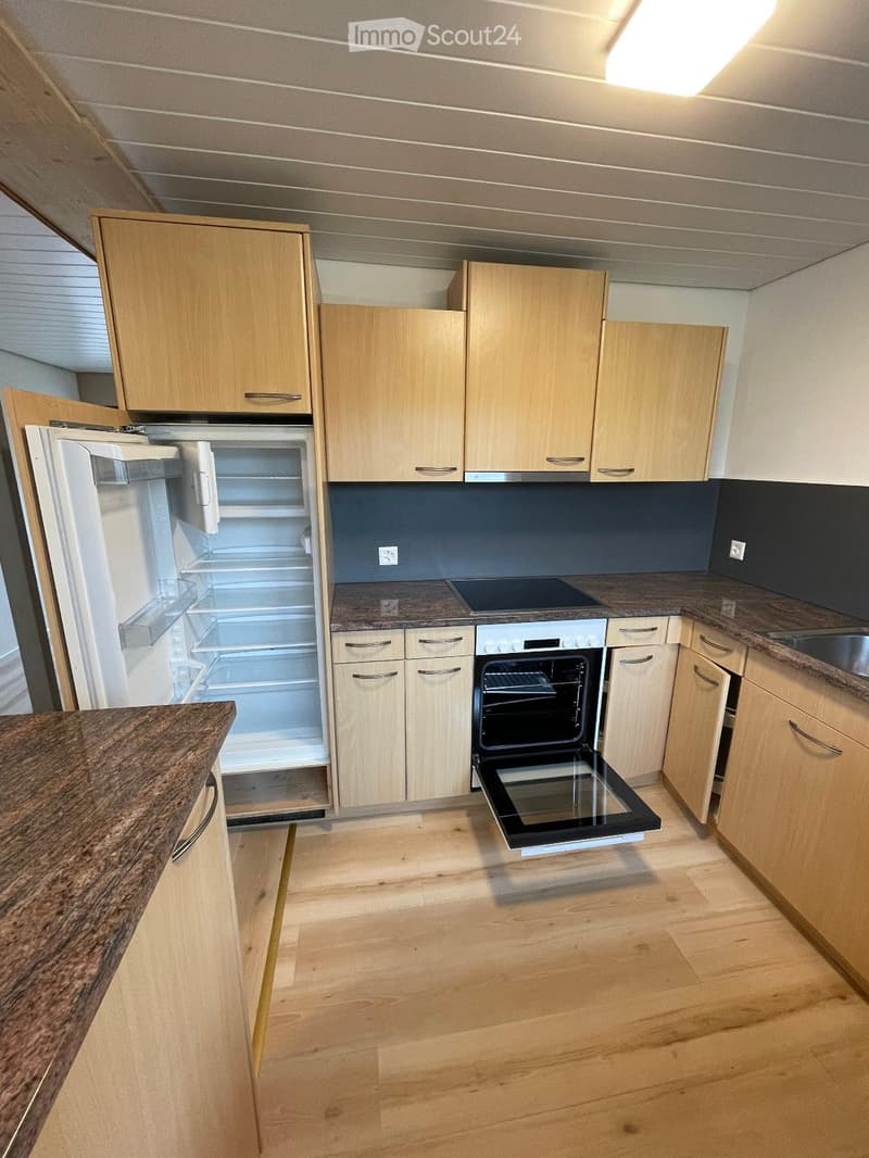 Lager Container / Wohn Container / Tiny House (2)