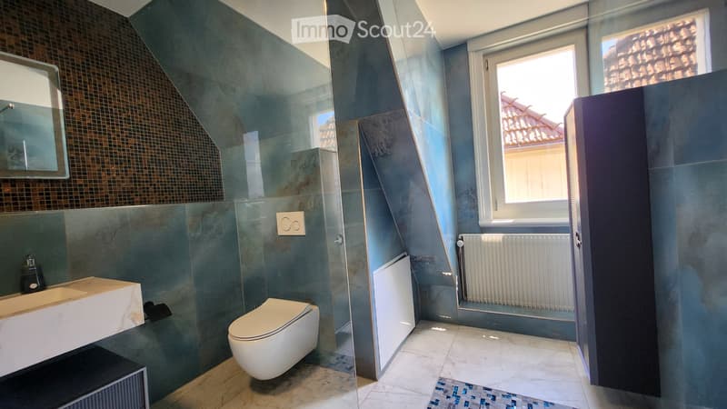 Modern 5.5 maisonette apartments (9)