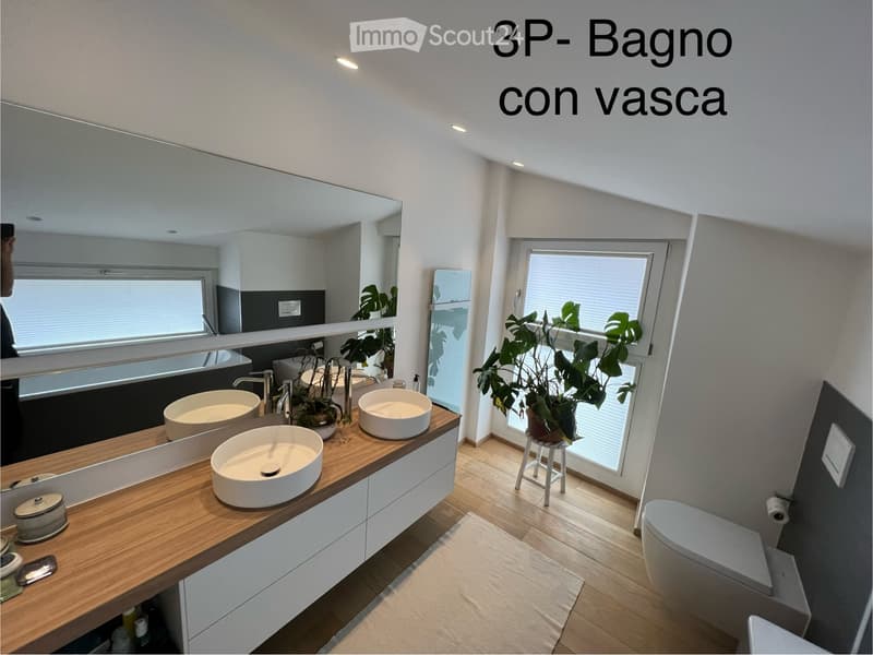 House Montagnola - Nucleo Scairolo (4)