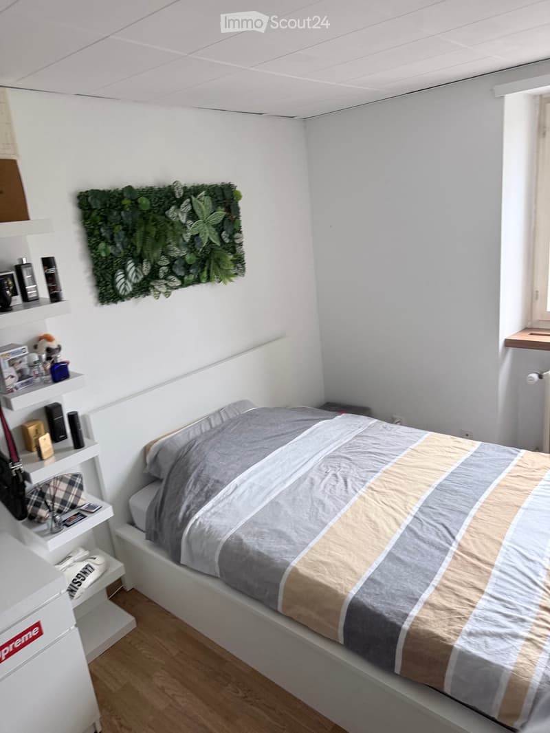 Chambre colocation Fribourg (2)