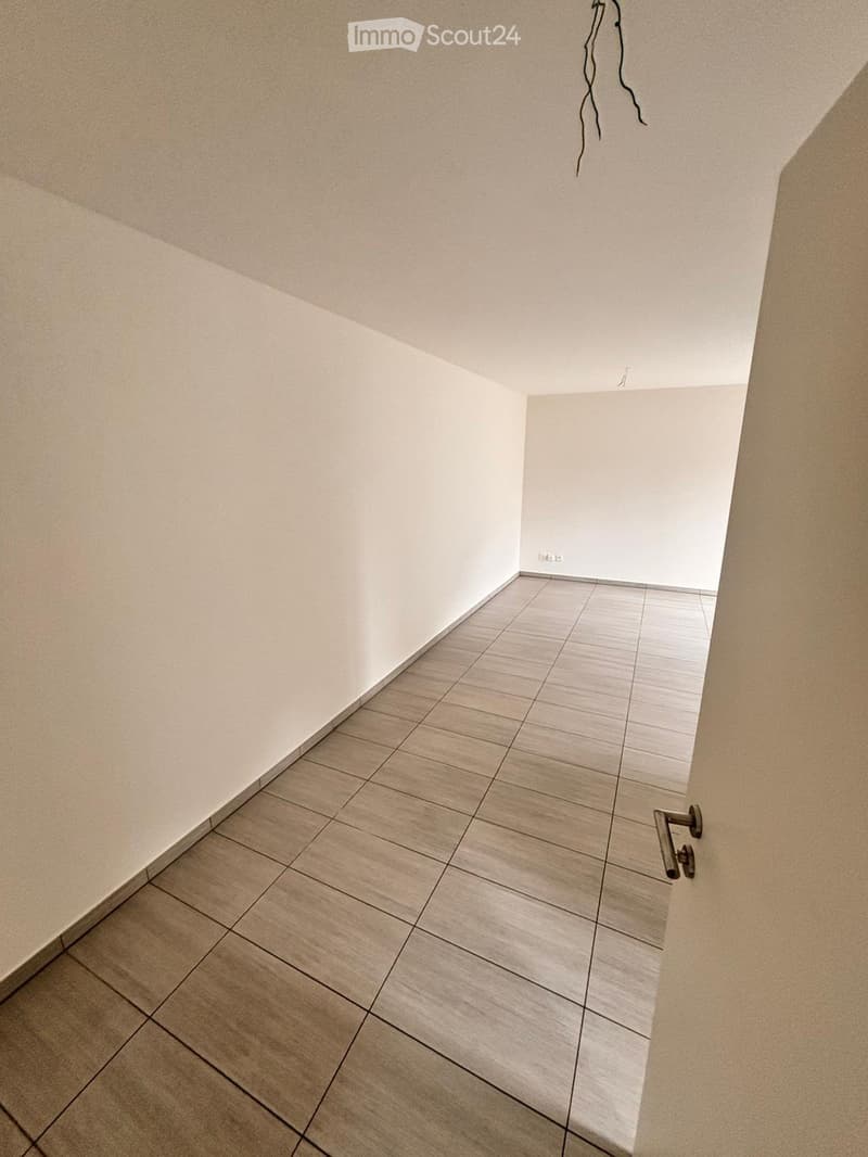 Lumino: affittasi appartamento 2½ locali con ampia terrazza (2)