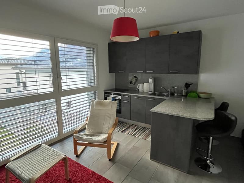 Furnished studio for rent (2)