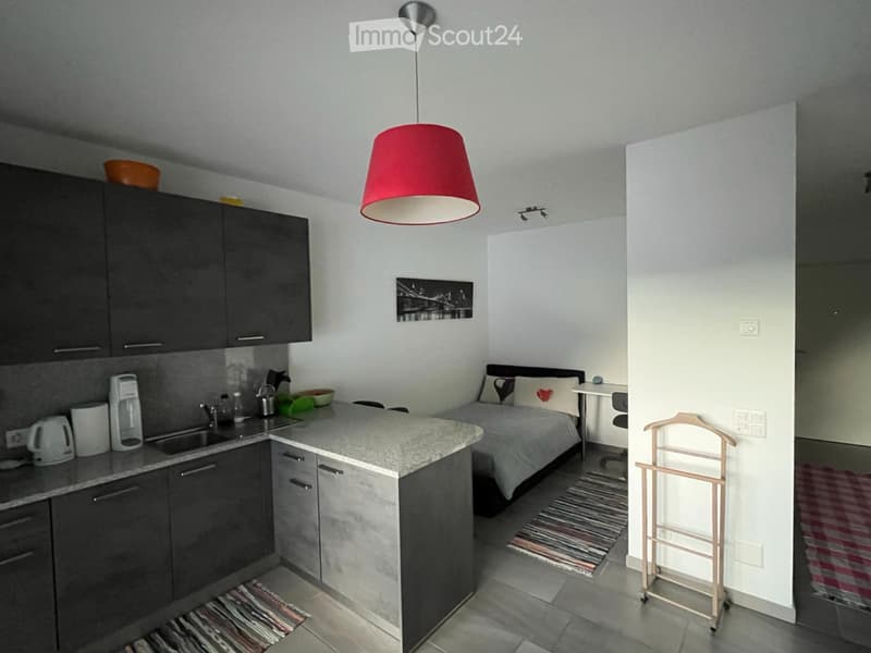 Furnished studio for rent (4)