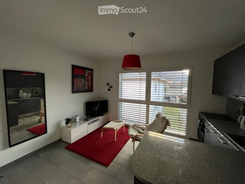Furnished studio for rent (3)