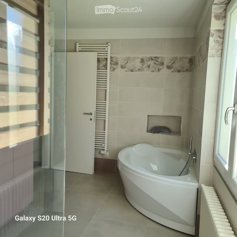 Beautiful Sunvalley Tessin Holiday Apartments (4)