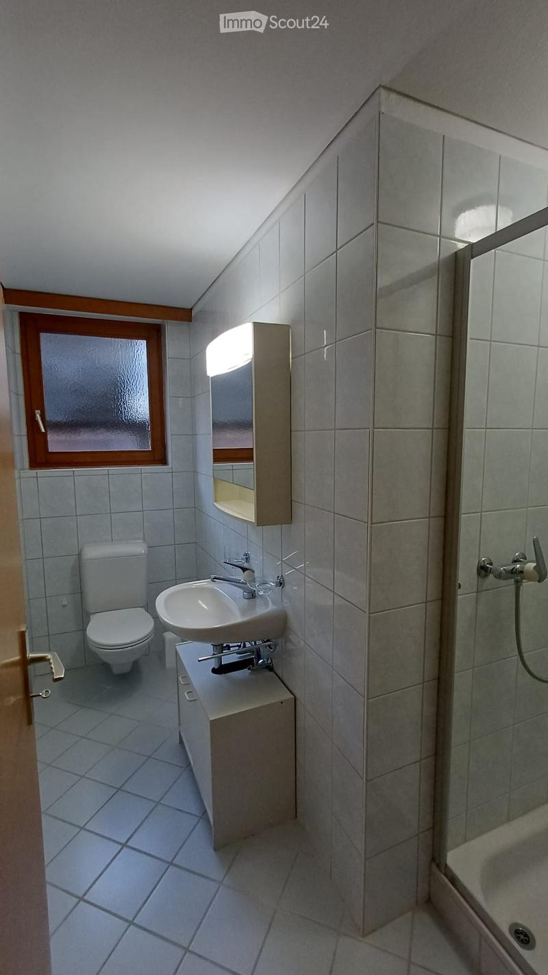 Cozy apartment on the ground floor in Maggia with parking (4)