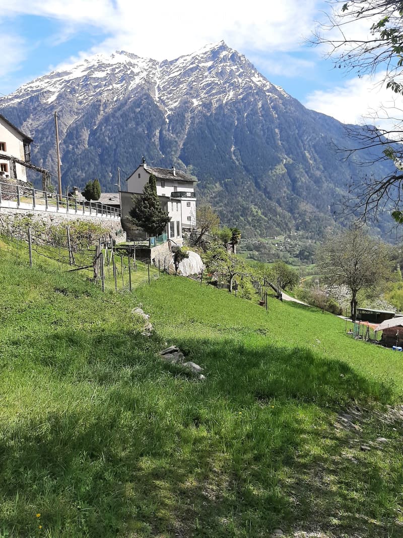Vendesi casa/ haus/grundstück zum verkauf bleniotal tessin (3)