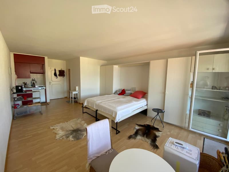Appartamento vacanza affascinante in affitto a lungo termine con vista lago (3)