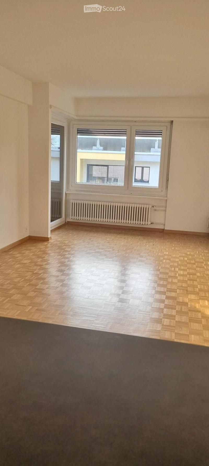 Joli appartement 3.5 pièces - Bioggio (2)
