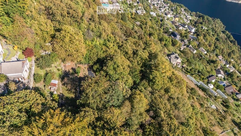 3500 m² Natur, Seesicht & Internetanschluss (5)