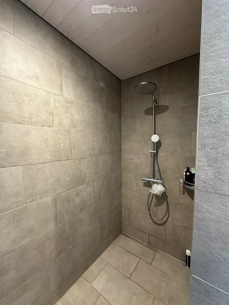 Recherche locataire pour appartement (5)
