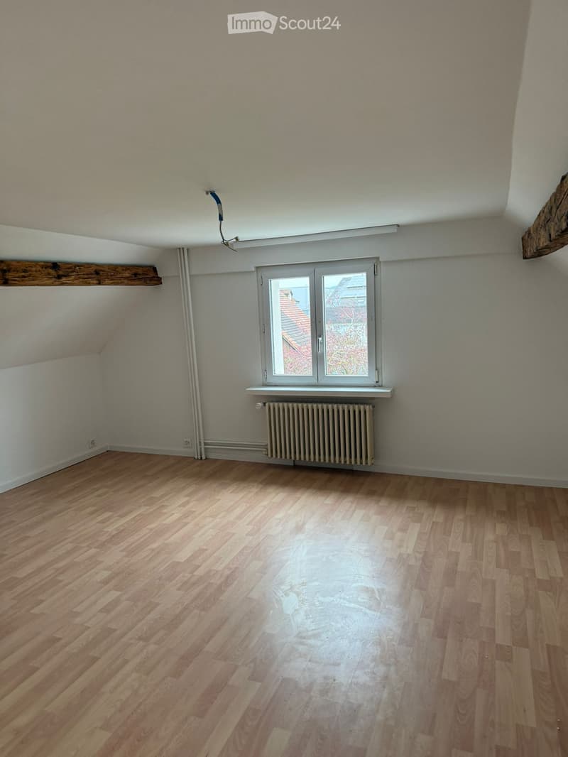 Appartamento di 4,5 locali (2)