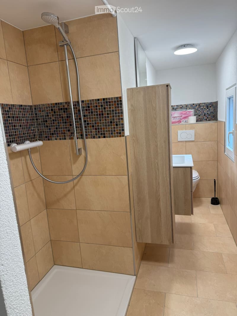 Appartamento di 4,5 locali (5)