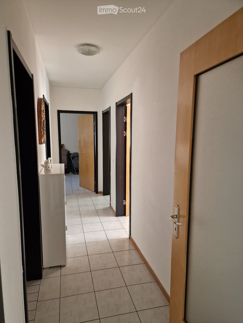 Untermieter für schönes 4.5 in Lamone (5)