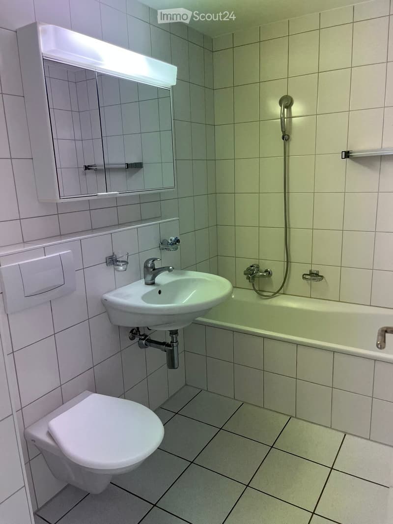 ***4.5-Zimmer-Wohnung **105m2**Ausrichtung Süden*** (3)