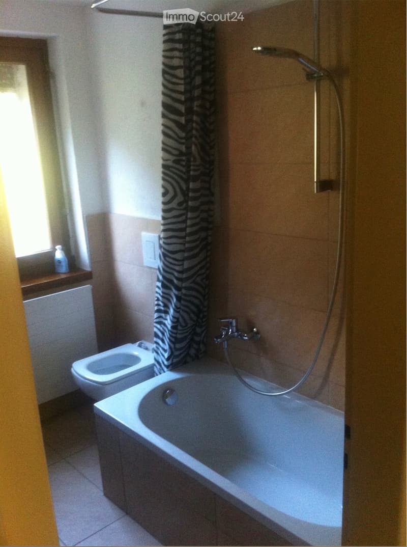 Miete von Apartment in Ambrì (5)