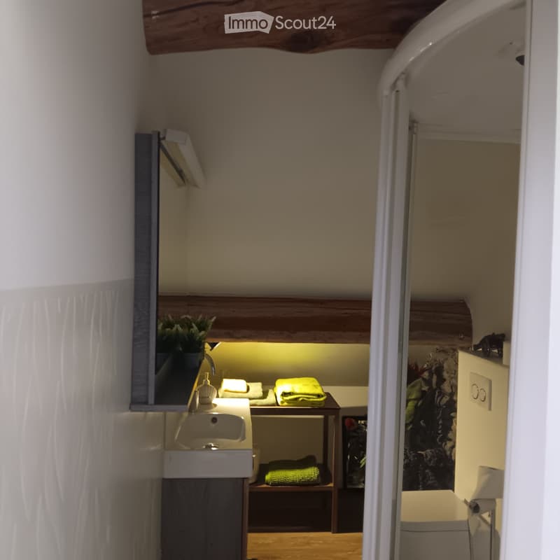 Studio Appartment Blenio /Dongio/ CASA BELGERI (3)