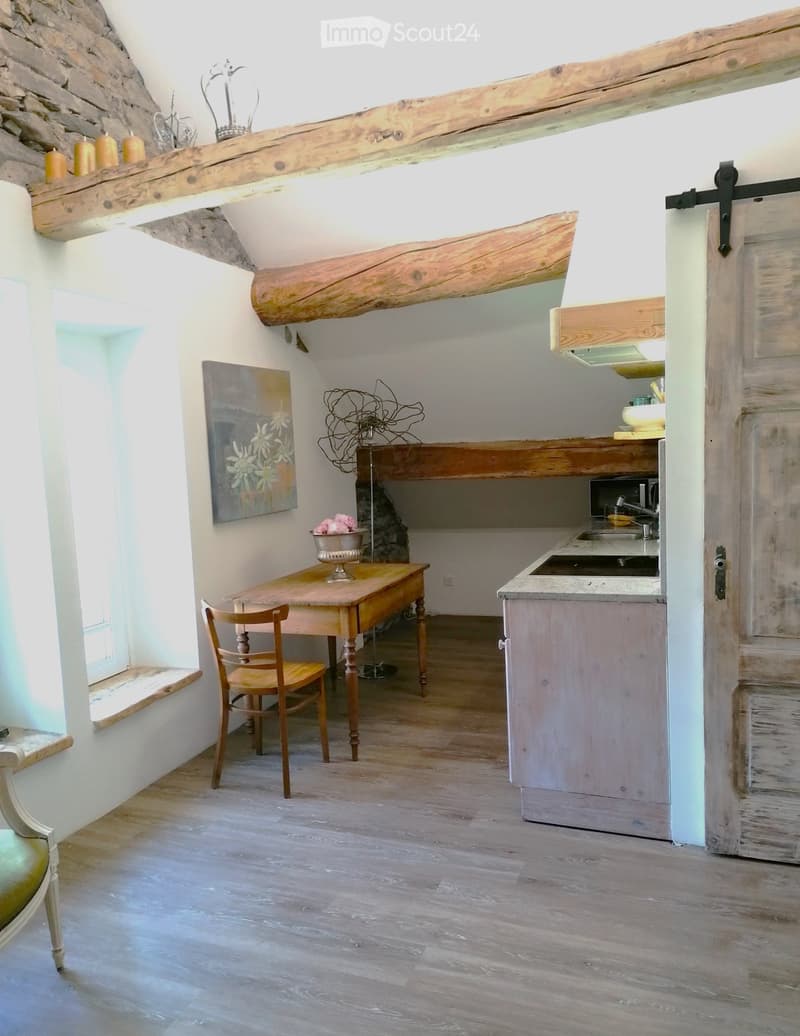Studio Appartment Blenio /Dongio/ CASA BELGERI (4)