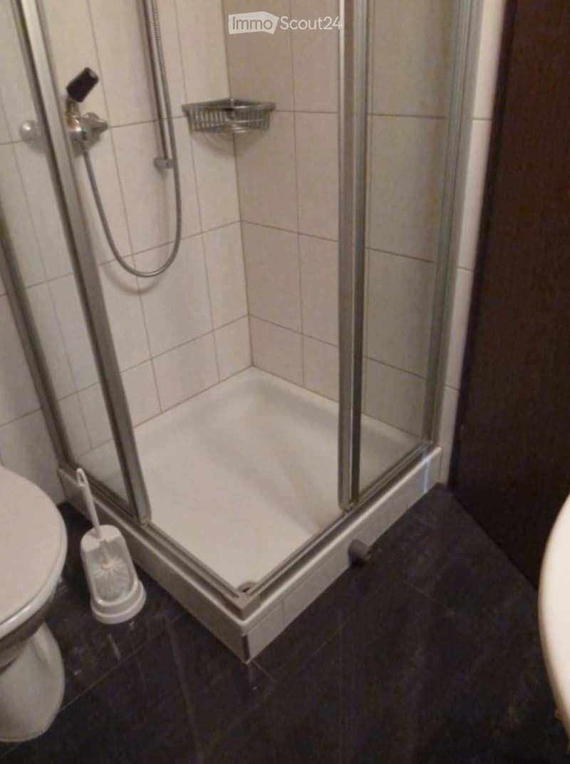 Appartement en mansarde lumineux avec charme, meublé, centre de Langnau (4)