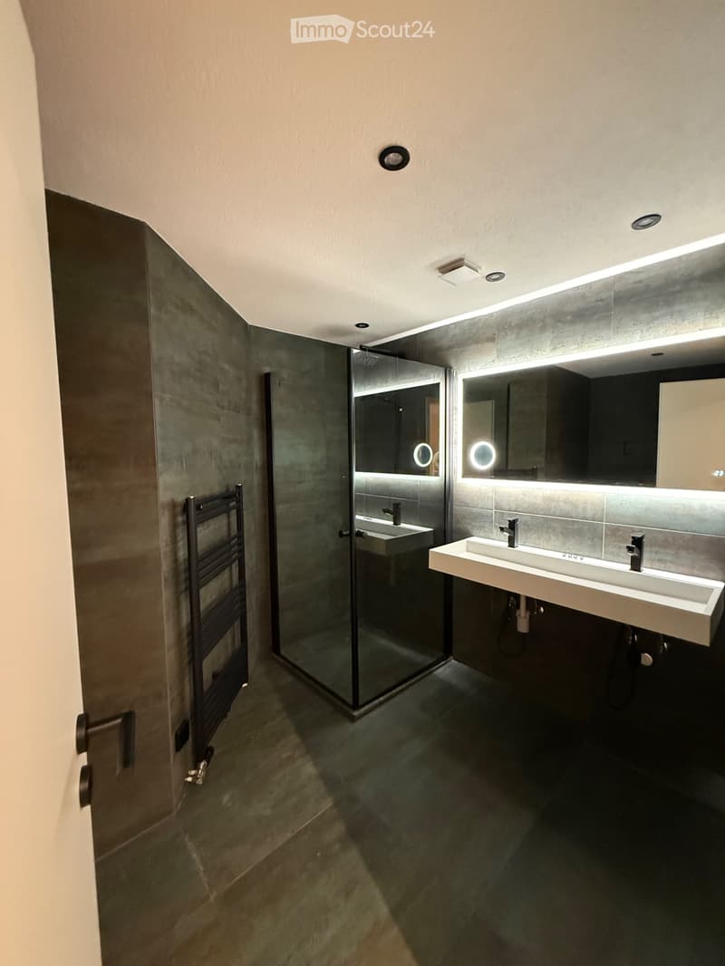 DesignerwohnungmitsonnigemSouterrainGarten&TerrasseSmartHome (5)