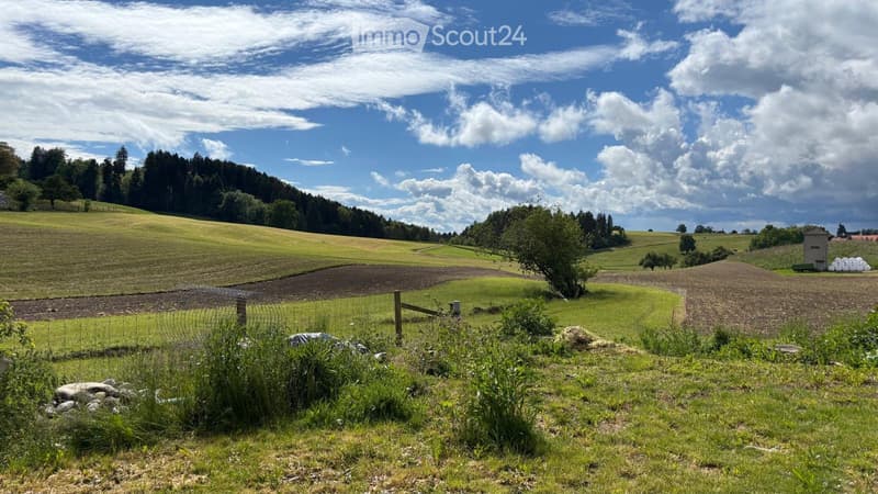 Modern 4-room row house in a quiet location in Tuttwil (2)